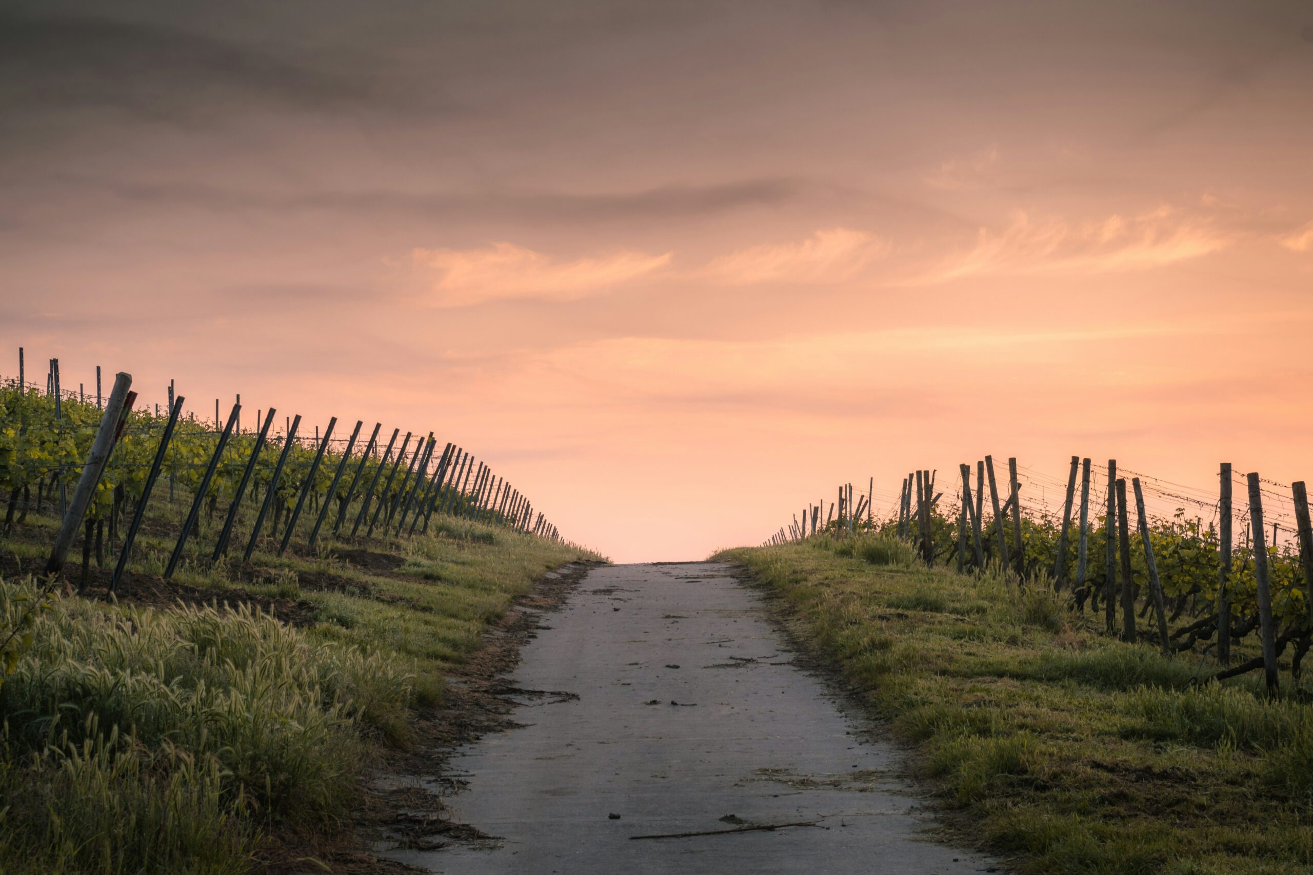 karsten wurth hie1biiorqq unsplash